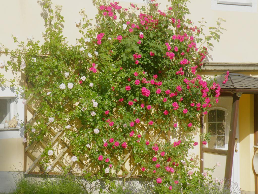 Am Lindenbaum Bed & Breakfast Sebnitz Exterior photo